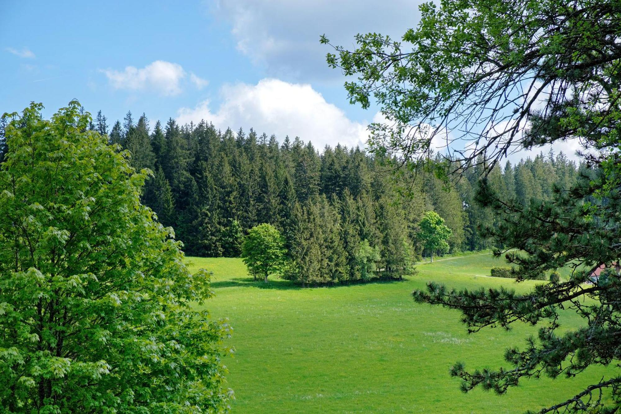 Ferienwohnung Jachmann, 80Qm Schoenwald im Schwarzwald Exterior photo